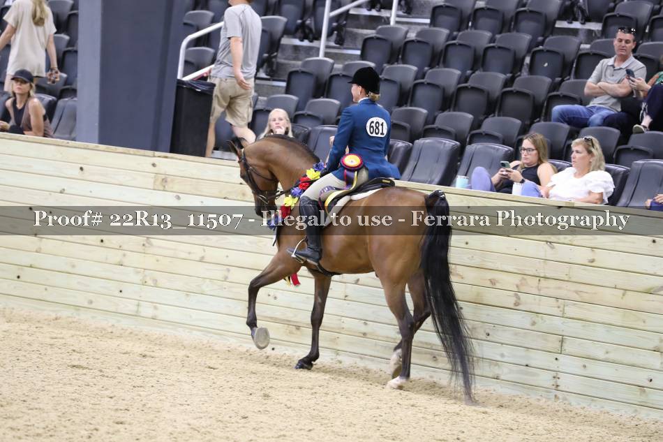 Proof 22R13_11507