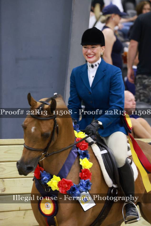 Proof 22R13_11508