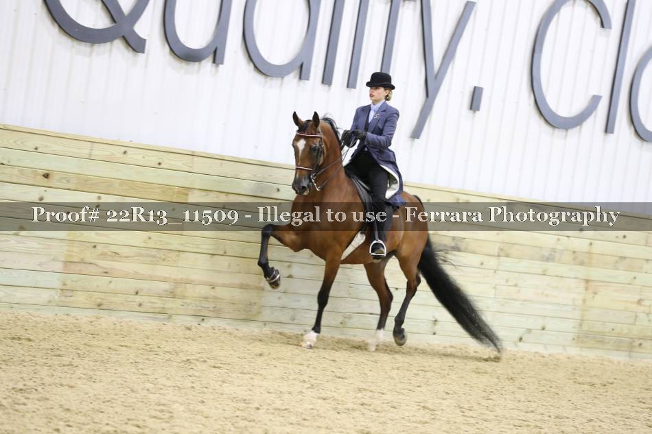 Proof 22R13_11509