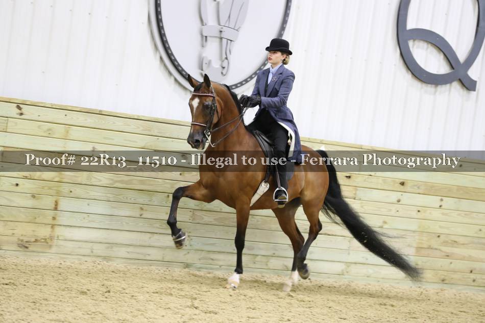 Proof 22R13_11510