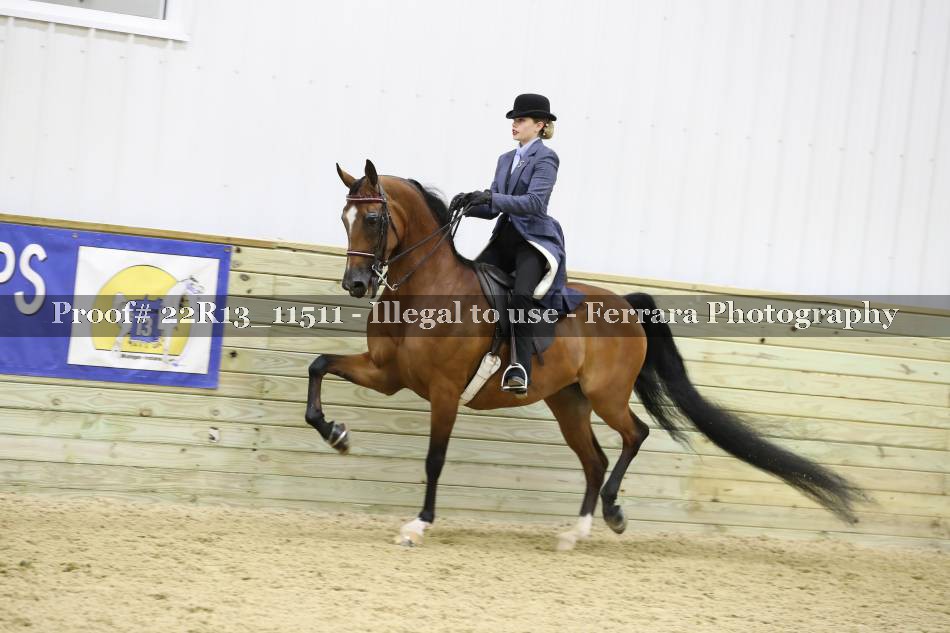 Proof 22R13_11511