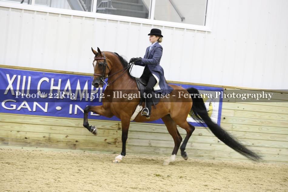 Proof 22R13_11512