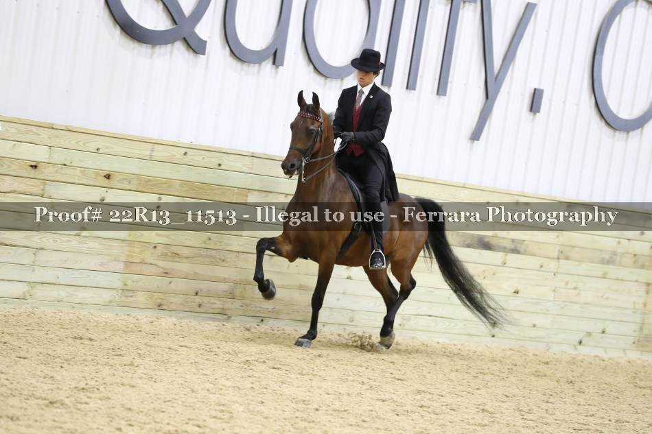 Proof 22R13_11513