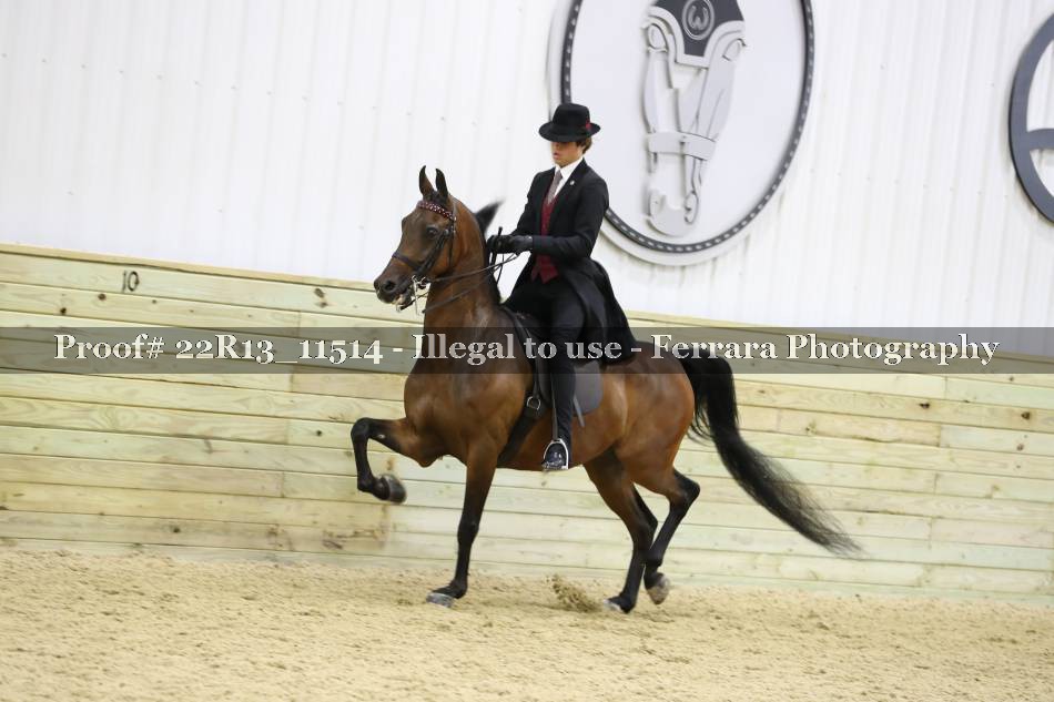 Proof 22R13_11514