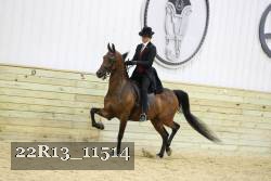 22R13_11514 proof
