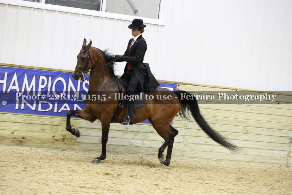 Proof 22R13_11515