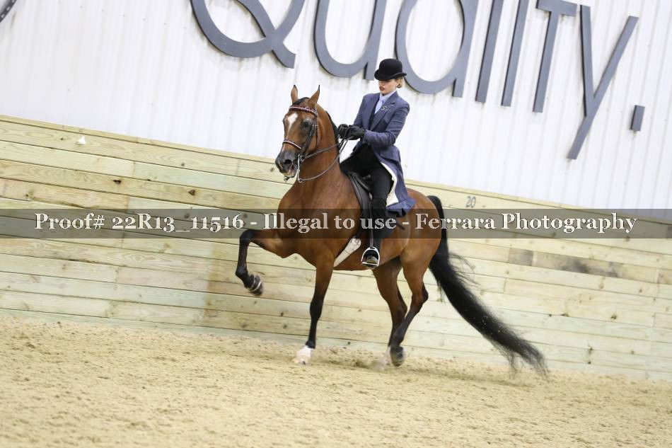 Proof 22R13_11516
