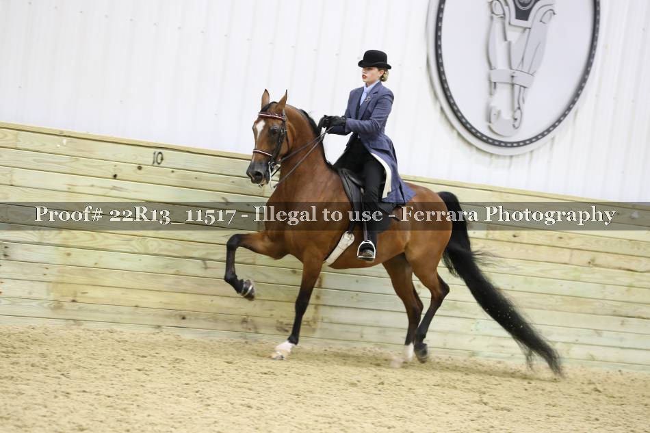 Proof 22R13_11517
