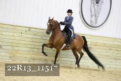 22R13_11517 proof