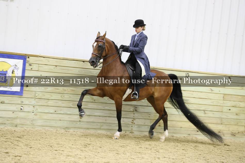 Proof 22R13_11518