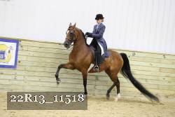22R13_11518 proof