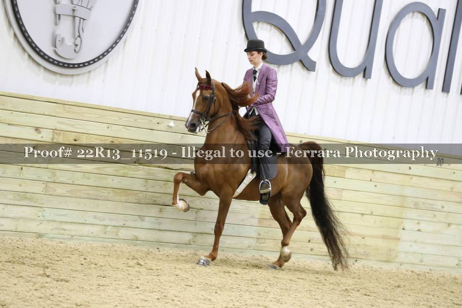 Proof 22R13_11519