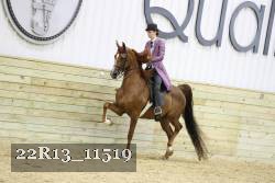 22R13_11519 proof