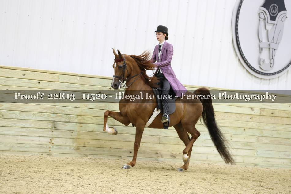 Proof 22R13_11520