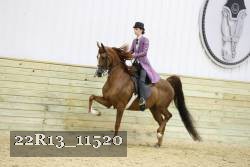 22R13_11520 proof