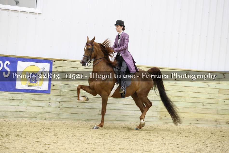 Proof 22R13_11521