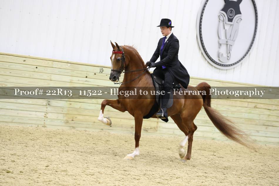 Proof 22R13_11522