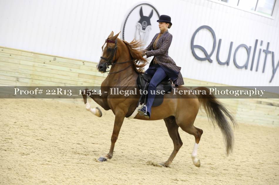 Proof 22R13_11524