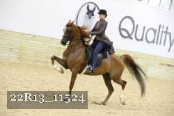 22R13_11524 proof