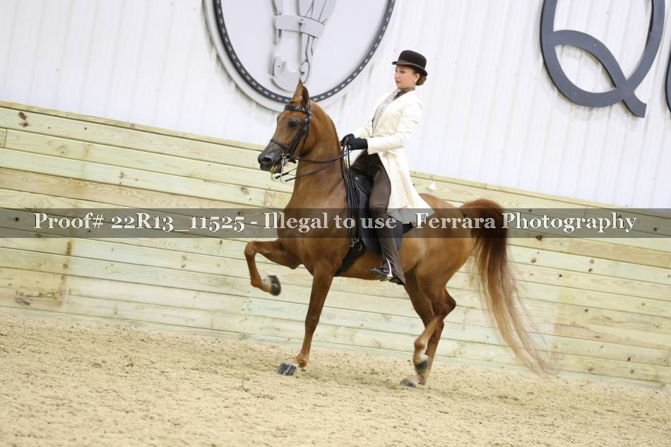 Proof 22R13_11525