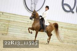 22R13_11525 proof