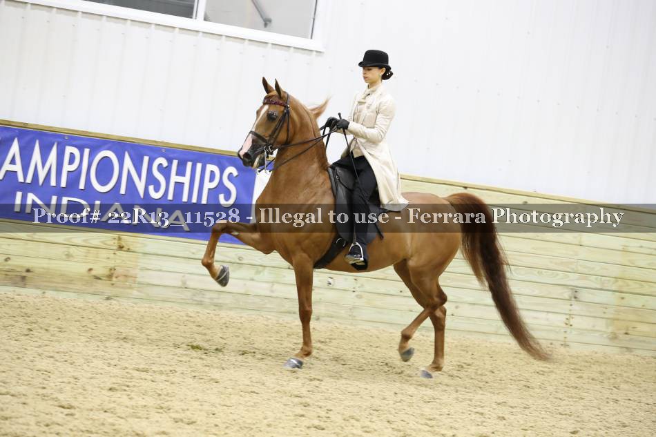 Proof 22R13_11528