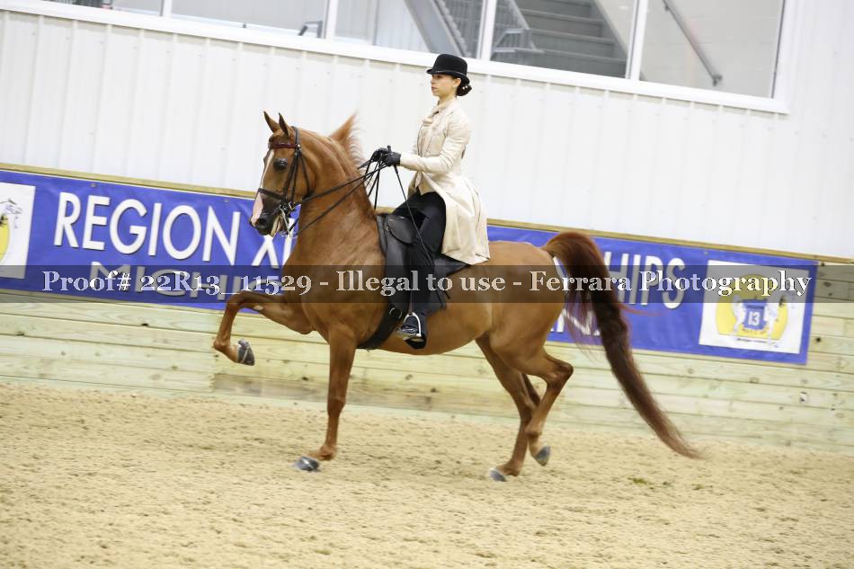 Proof 22R13_11529