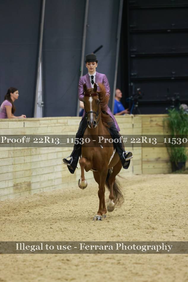 Proof 22R13_11530