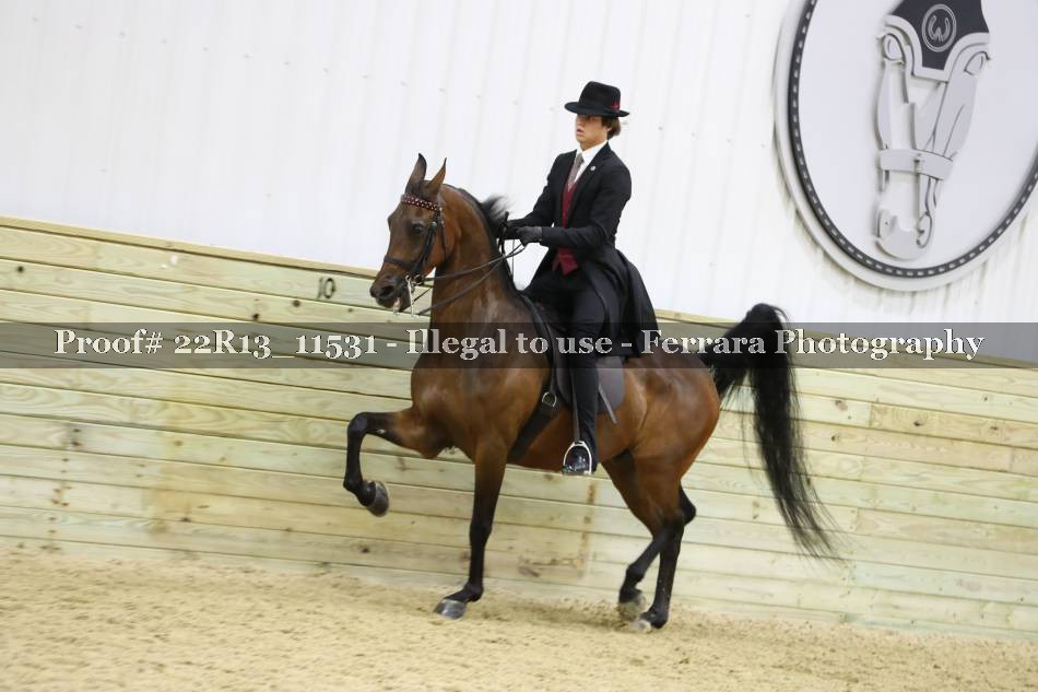 Proof 22R13_11531