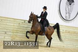 22R13_11531 proof