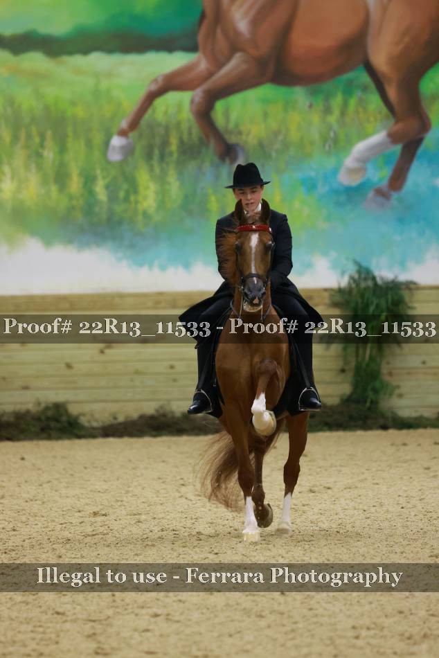 Proof 22R13_11533