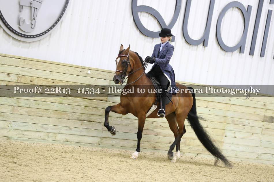 Proof 22R13_11534