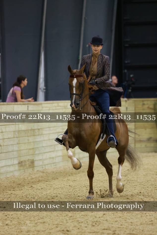 Proof 22R13_11535