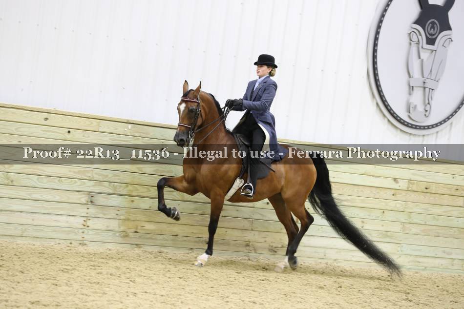 Proof 22R13_11536
