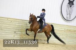 22R13_11536 proof