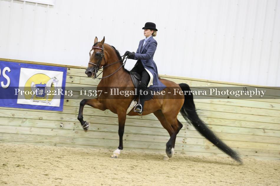 Proof 22R13_11537