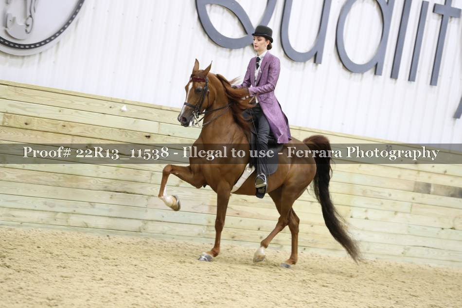 Proof 22R13_11538