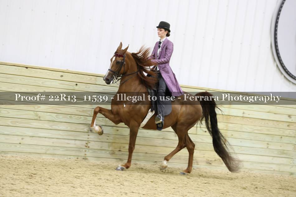 Proof 22R13_11539
