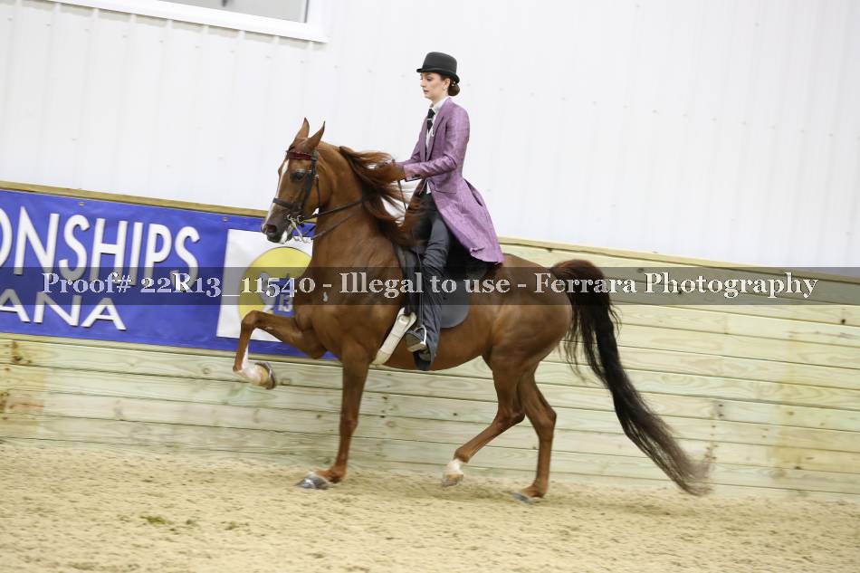 Proof 22R13_11540