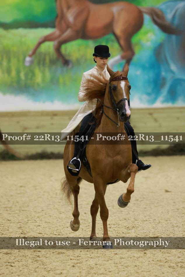 Proof 22R13_11541