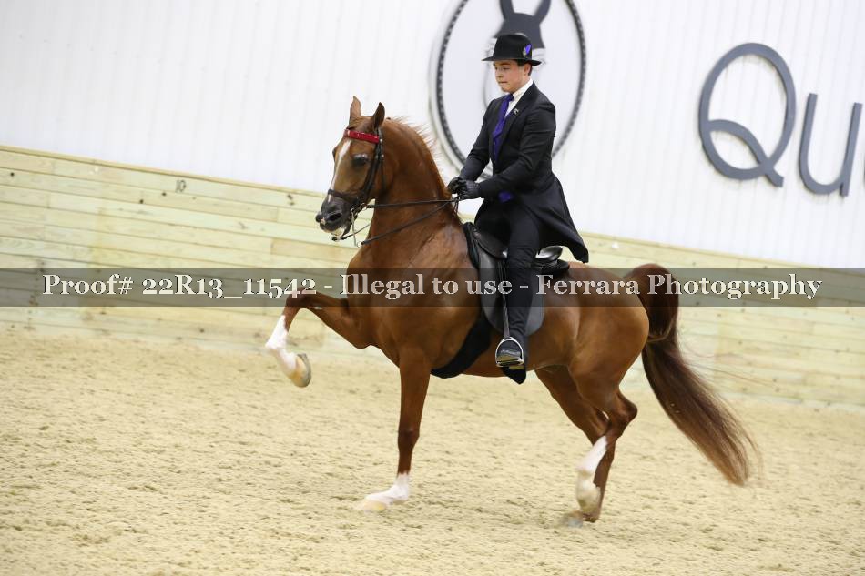 Proof 22R13_11542