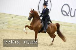 22R13_11542 proof