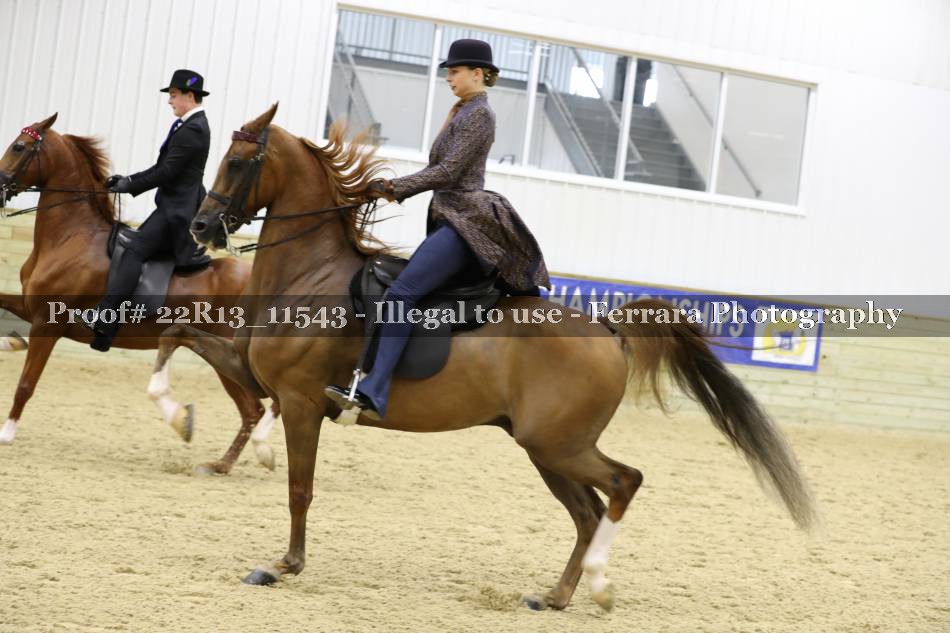 Proof 22R13_11543