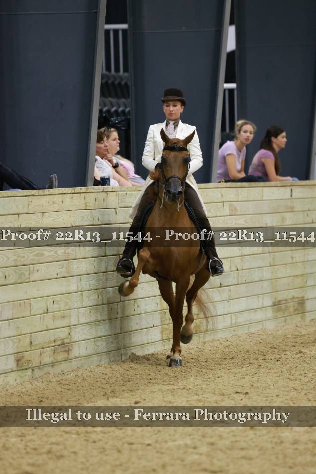 Proof 22R13_11544