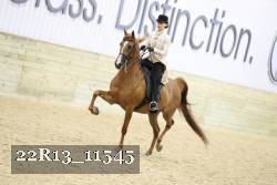 22R13_11545 proof
