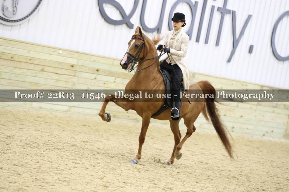 Proof 22R13_11546