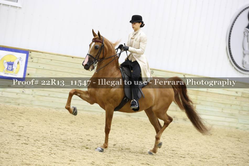 Proof 22R13_11547