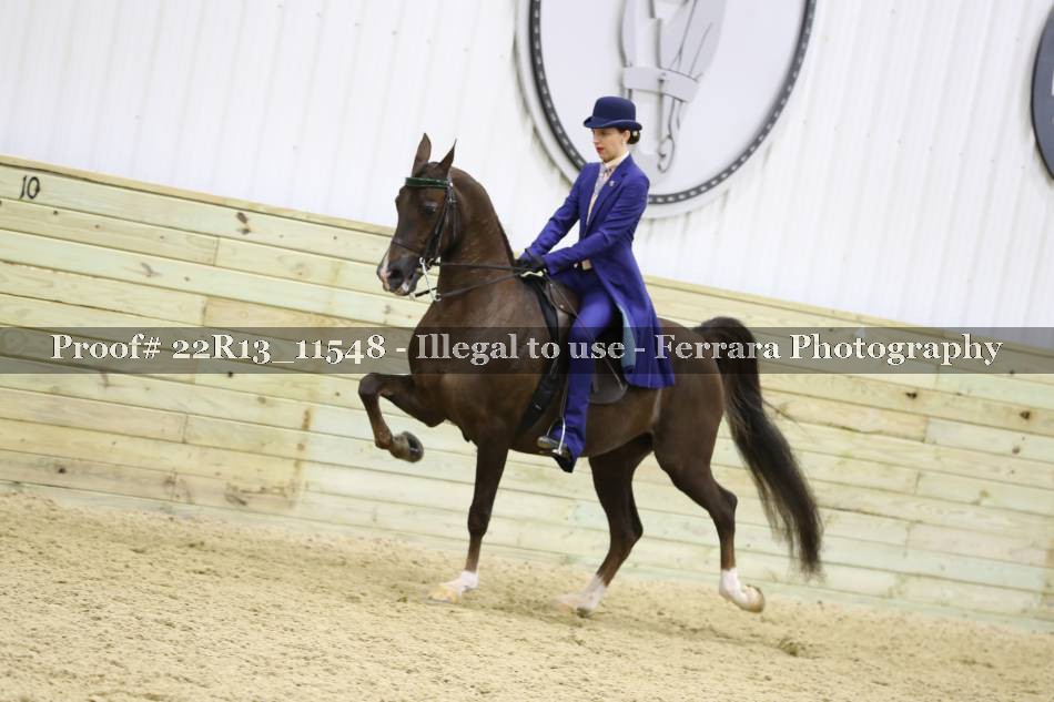 Proof 22R13_11548
