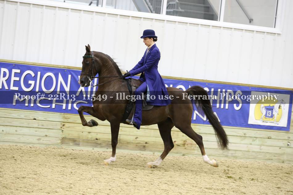 Proof 22R13_11549