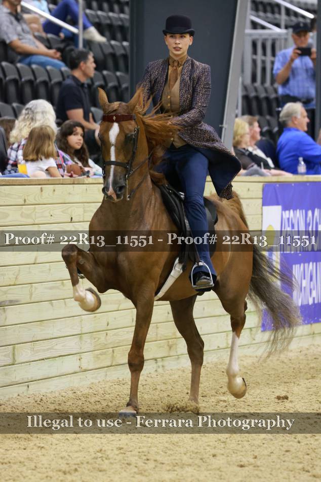 Proof 22R13_11551